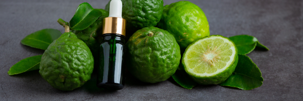 Image Showing Bergamot fruits and its essential oil in a glass jar. 