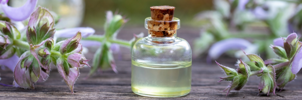Image Showing Clary sage leaves and their essential oil in small glass jar.