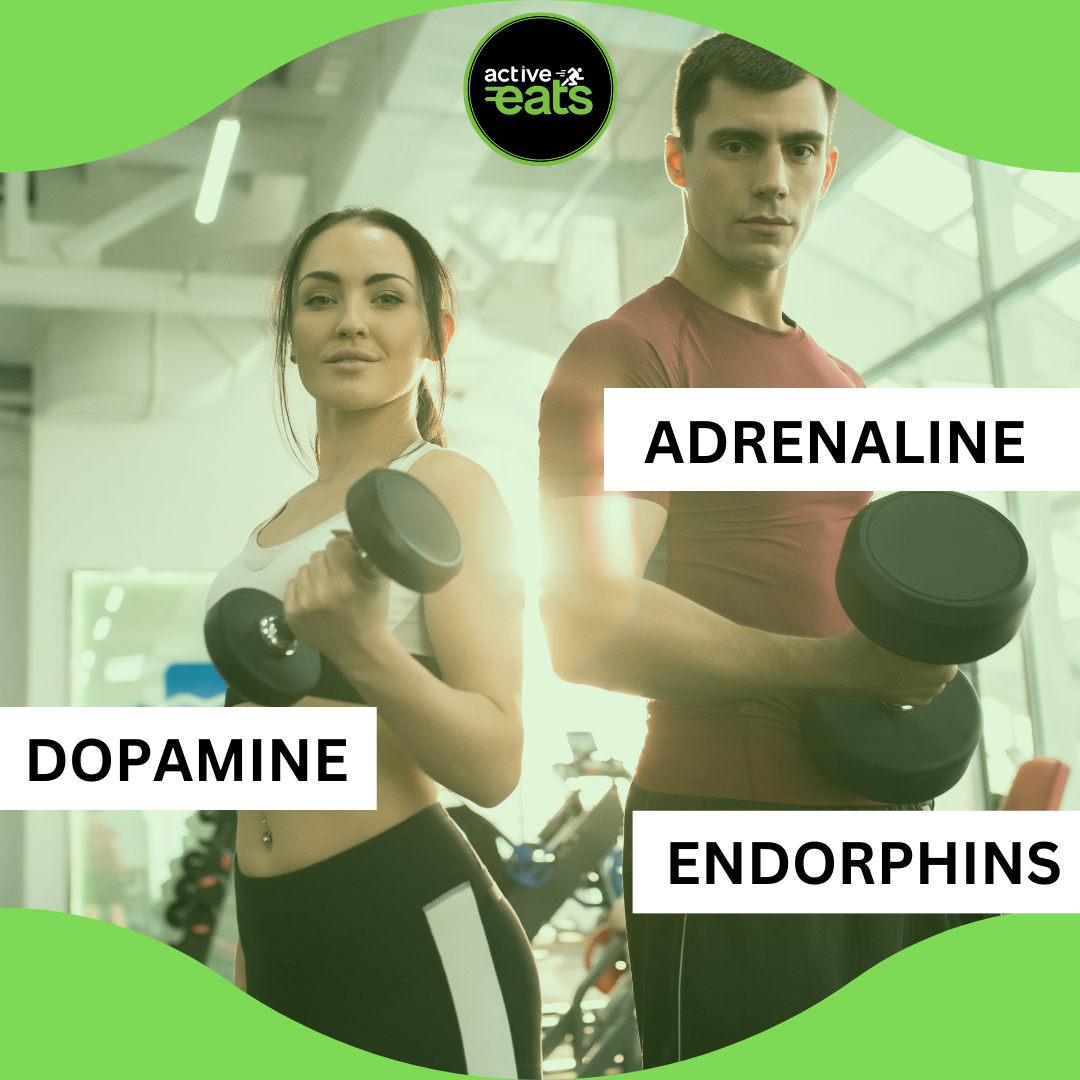 A graphical representation of human silhouettes with arrows pointing from the brain to various parts of the body, illustrating the release of dopamine, adrenaline, and endorphins during exercise, highlighting that these hormonal responses are common in both men and women.