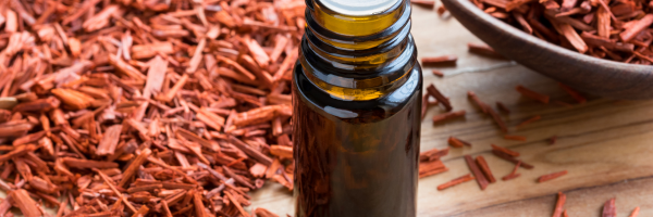 Image Showing Sandalwood pieces and its essential oil in a glass bottle.