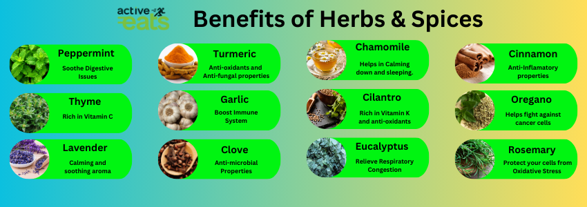 A visually appealing graphic presenting the benefits of the top 12 herbs and spices, with each herb or spice accompanied by an icon and text highlighting its specific advantages. Turmeric: An image of vibrant yellow turmeric powder, symbolizing its anti-inflammatory properties and potential health benefits. Cinnamon: A depiction of cinnamon sticks, showcasing its ability to support blood sugar regulation and add a sweet touch without added calories. Ginger: An illustration of fresh ginger root, emphasizing its anti-nausea and anti-inflammatory effects, as well as digestive support. Garlic: An image of garlic bulbs, symbolizing its immune-boosting and heart health benefits. Rosemary: A representation of fresh rosemary sprigs, highlighting its antioxidant properties and potential cognitive benefits. Basil: An illustration of basil leaves, signifying its anti-inflammatory effects and contribution to digestive health. Thyme: An image of thyme sprigs, emphasizing its antimicrobial properties and potential respiratory benefits. Oregano: An illustration of oregano leaves, showcasing its antioxidant content and potential anti-inflammatory effects. Mint: A depiction of fresh mint leaves, symbolizing its digestive support and refreshing flavor. Cumin: An image of cumin seeds, highlighting its digestive benefits and potential anti-inflammatory properties. Paprika: An illustration of paprika powder, signifying its rich antioxidant content and potential metabolism-boosting effects. Coriander: A representation of coriander leaves, emphasizing its digestive support and potential cholesterol-lowering properties. This graphic provides an informative and visually appealing guide to the benefits of incorporating a variety of herbs and spices into one's diet for overall health and flavor enhancement.