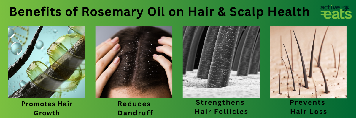 image shows Benefits of Rosemary Oil on Hair & Scalp Health which are reducing dandruff, strengthening hair follicles, reducing hair loss and promoting hair growth