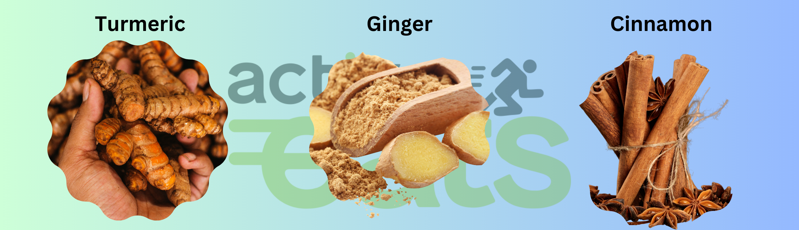 Pictures of Turmeric, Ginger and Cinnamon 