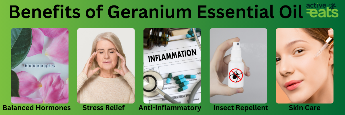 picture shows the Benefits of Geranium Essential Oil which are skin care, anti inflammatory properties, insect repellant, stress reducer and natural hormone balancer.