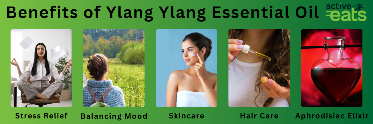 pictures shows the Benefits of Ylang Ylang Essential Oil which are skin care, hair care, mood balancing effects, Stress Relief and Relaxation and Aphrodisiac Elixir