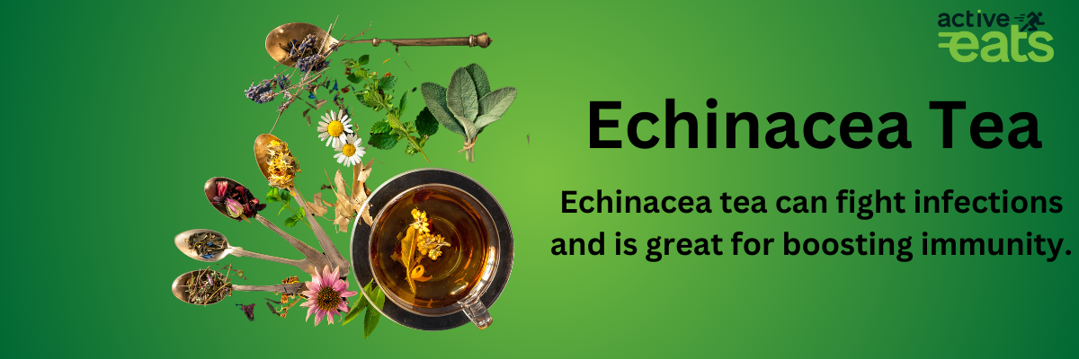 Image showing Echinacea Tea on left side and its benefits on right side that it can fight infections and is great for boosting immunity.