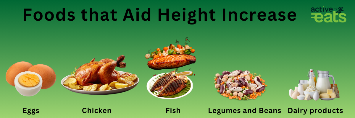 picture shows food items that helps to increase your height increase like fish, chicken, eggs, legumes and beans and milk products.