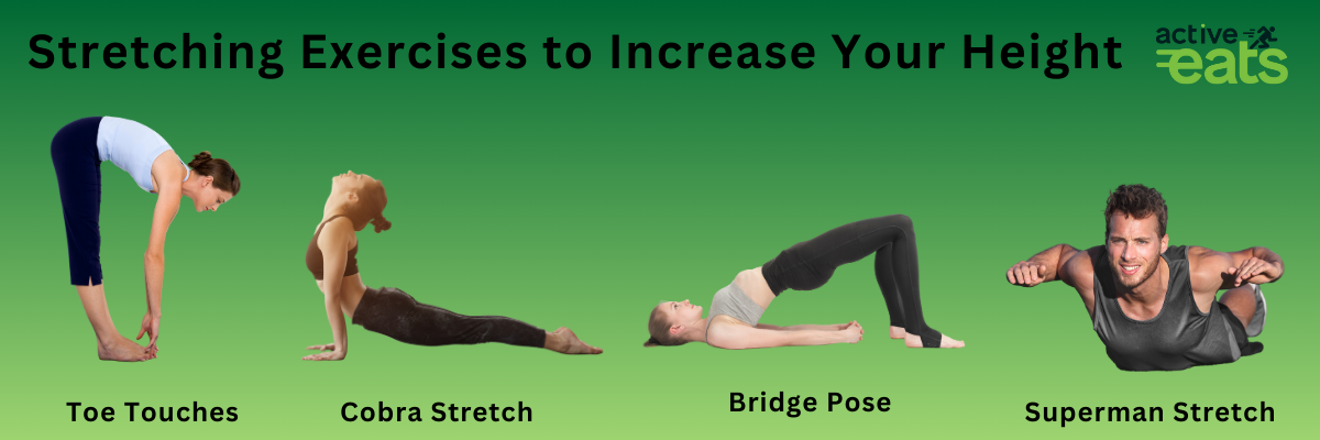 pictures shows Stretching Exercises to Increase Your Height which are bridge pose, cobra pose, superman stretch, and Toe Touches